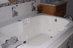 bath_kingstonshower01-before