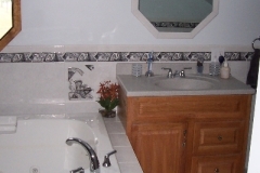 bath_kingstonshower02-before